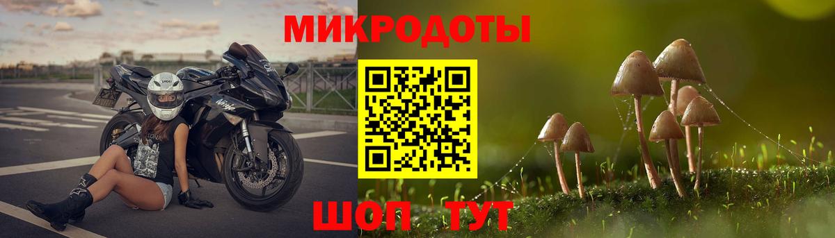 Галлюциногенные грибы Psilocybine cubensis  Вход с VPN  Армавир  Псилоцибиновые грибы GOLDEN TEACHER 